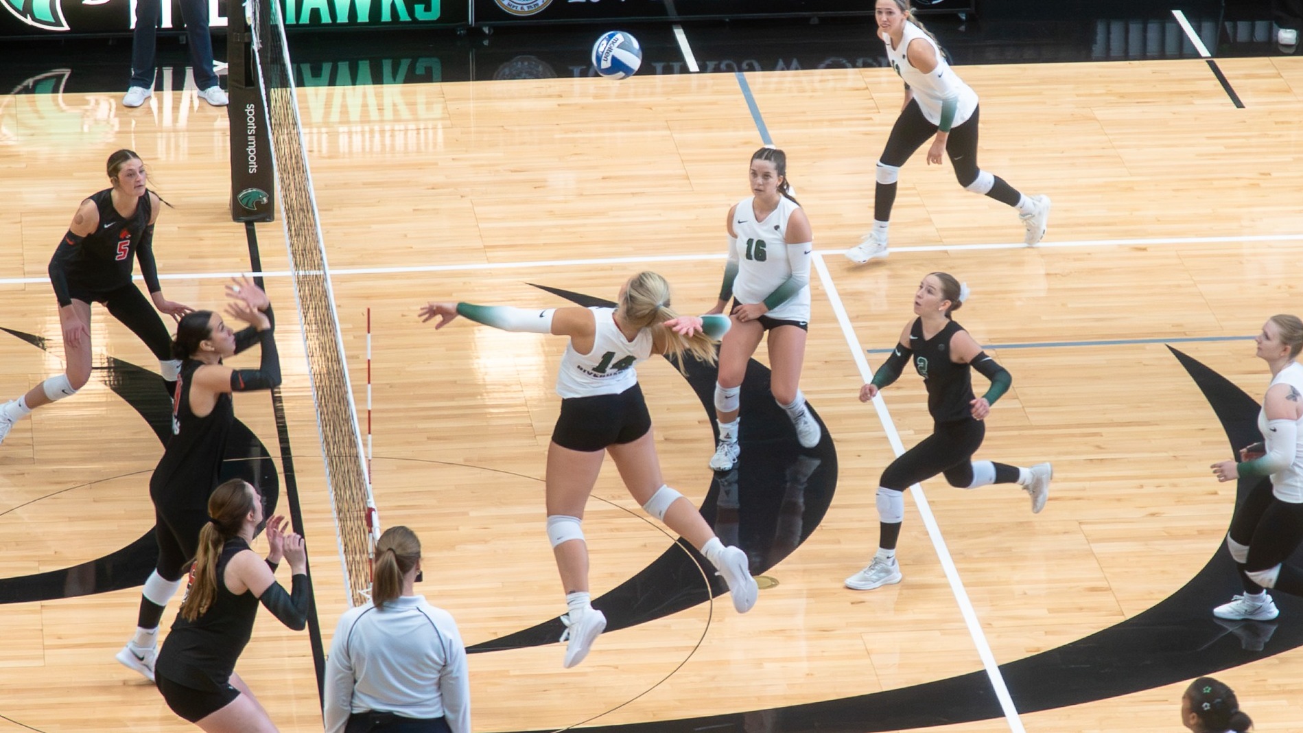 NSU vs UCM