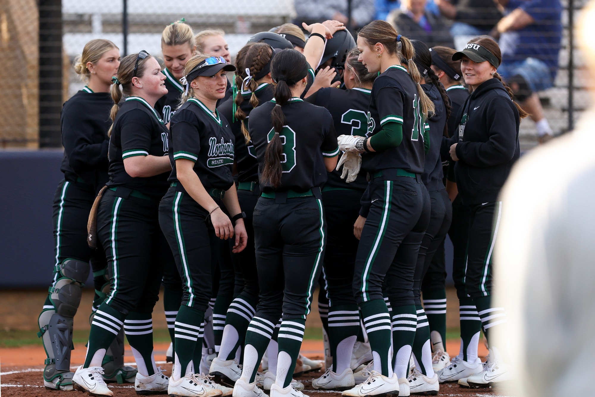 Softball vs. Hillsdale