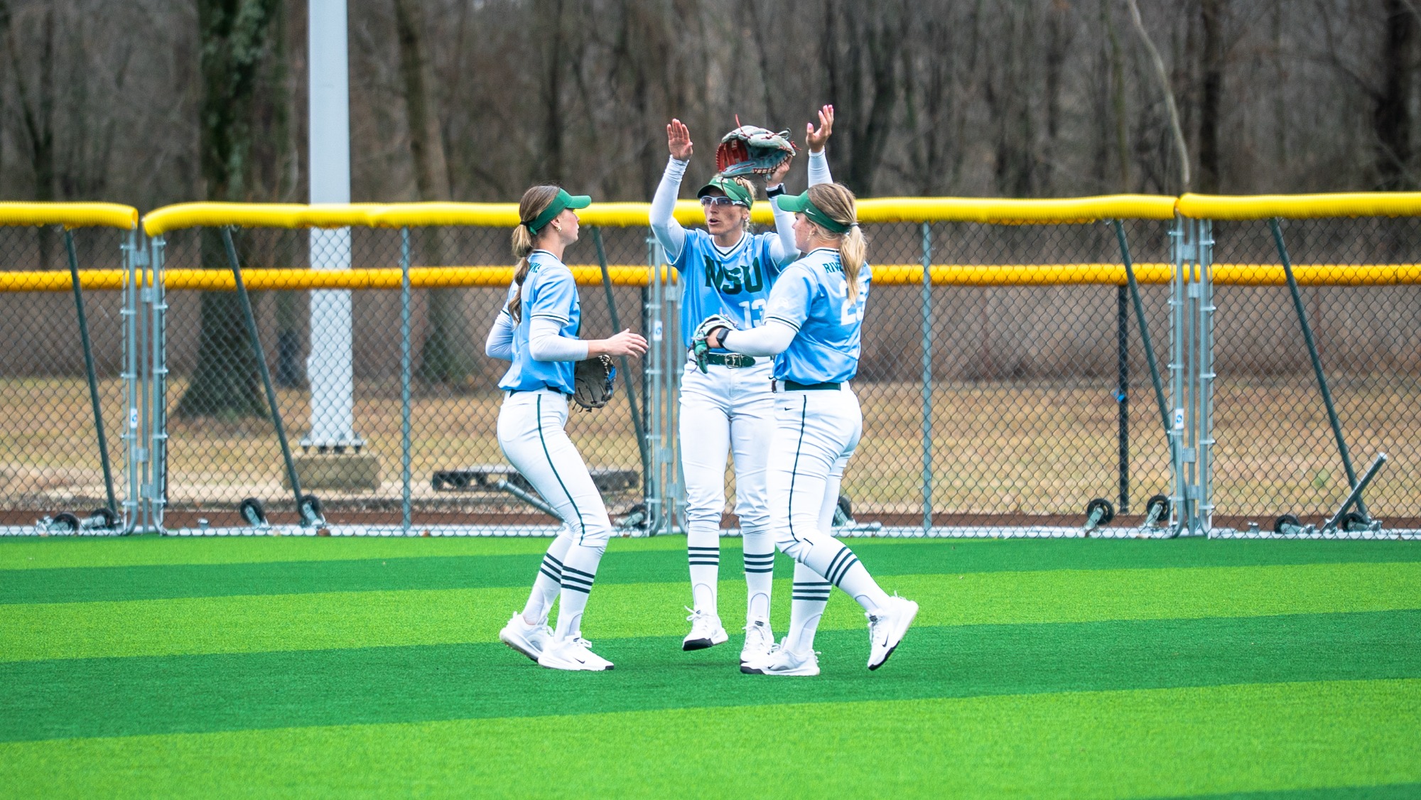 Softball vs. Harding