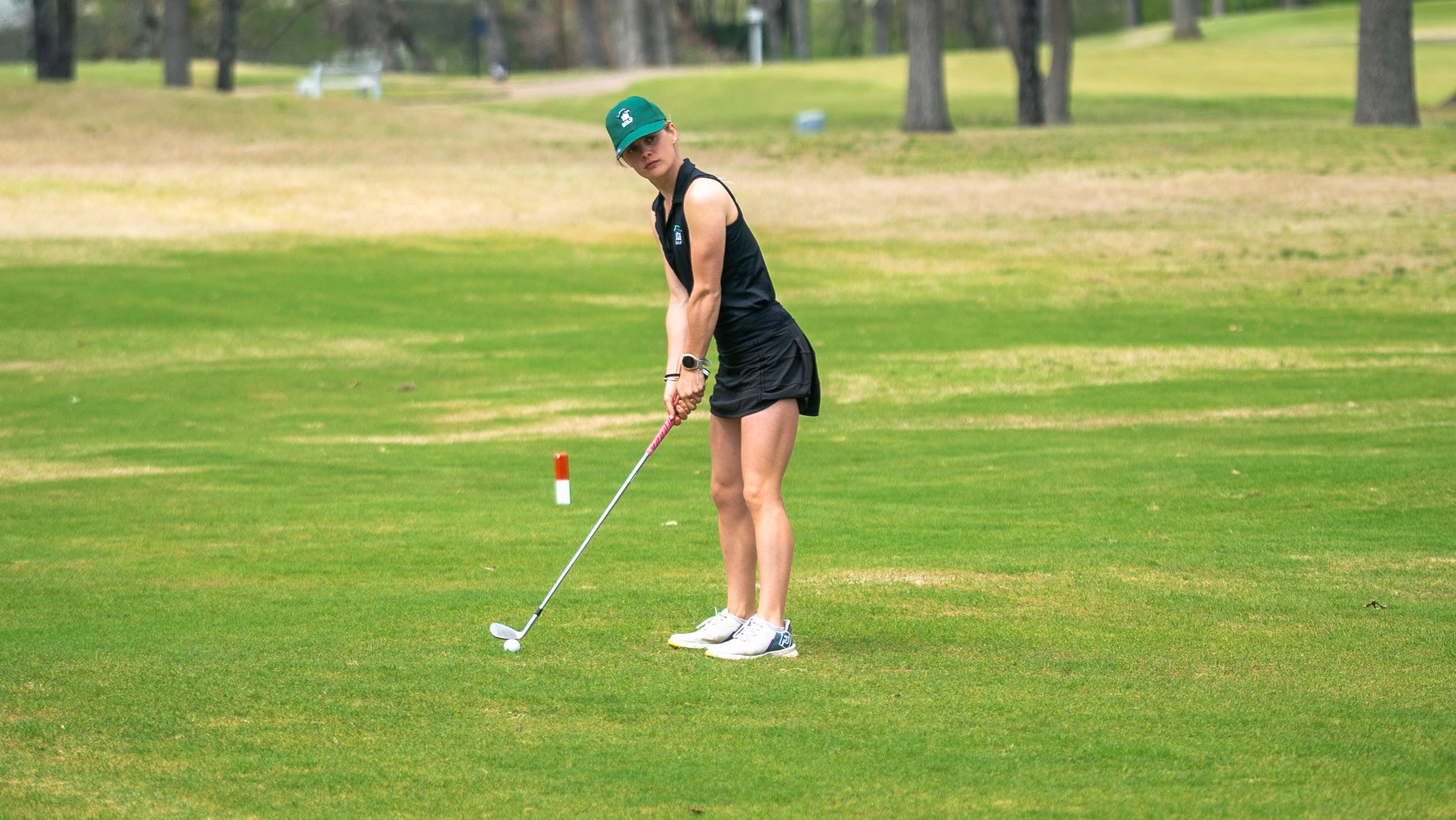 wgolf @ uafs invtl