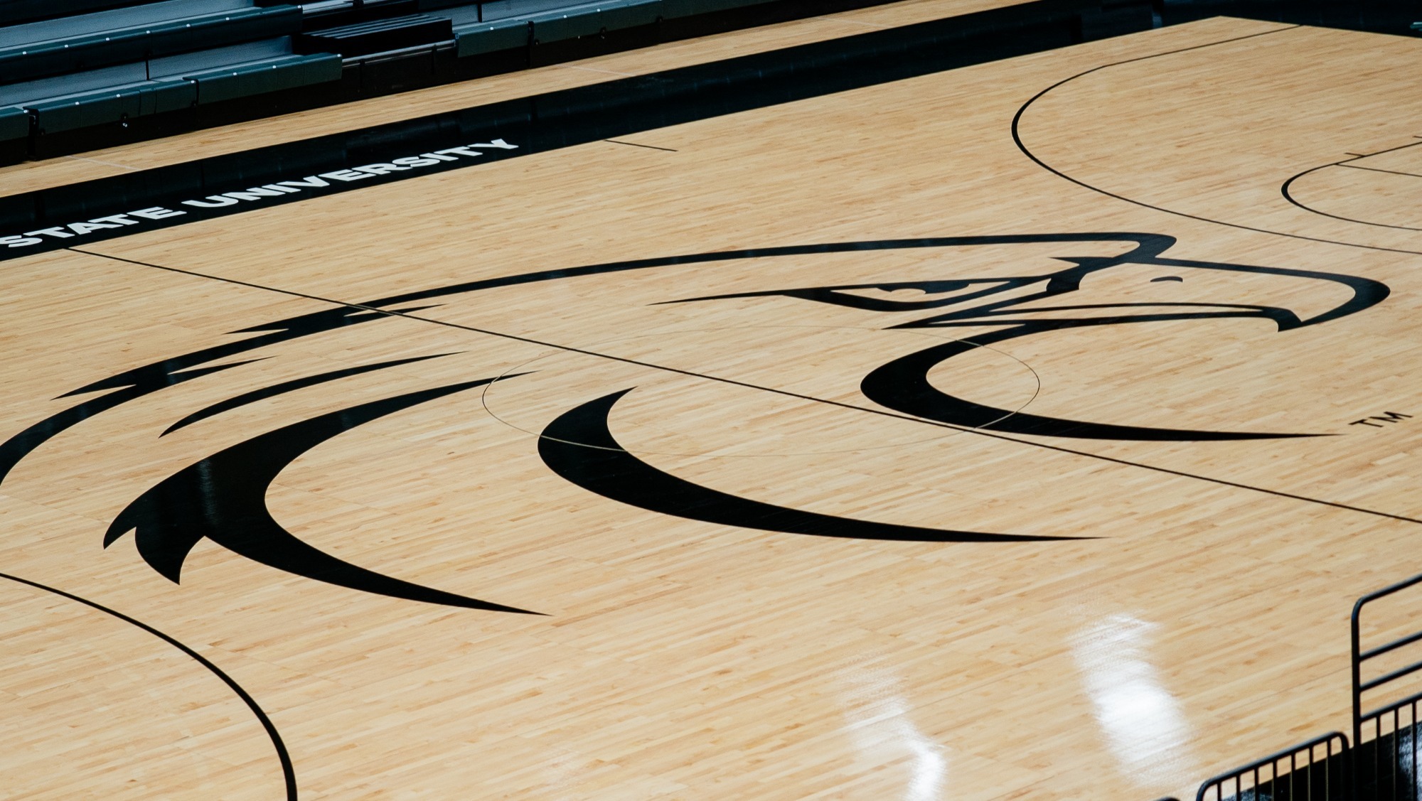 Basketball Court