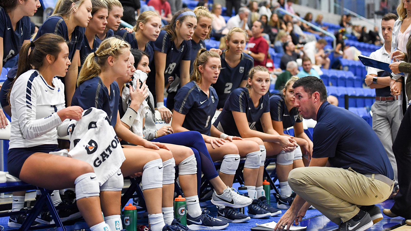 sharks-volleyball-cracks-south-region-poll-at-no-10-nova