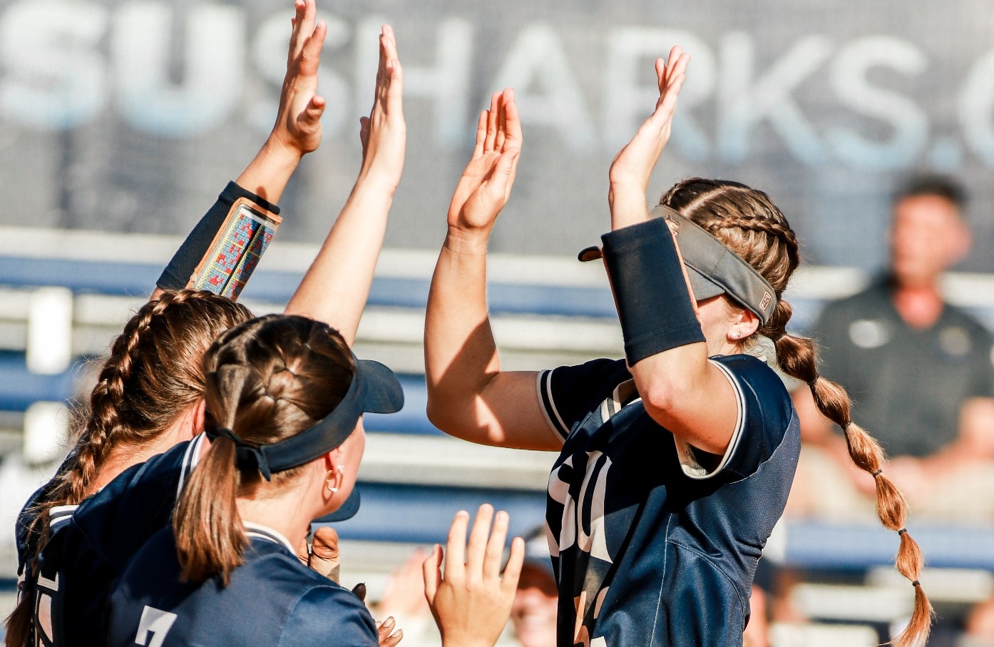 Sharks Softball Set For Series With Bucs Nova Southeastern University 