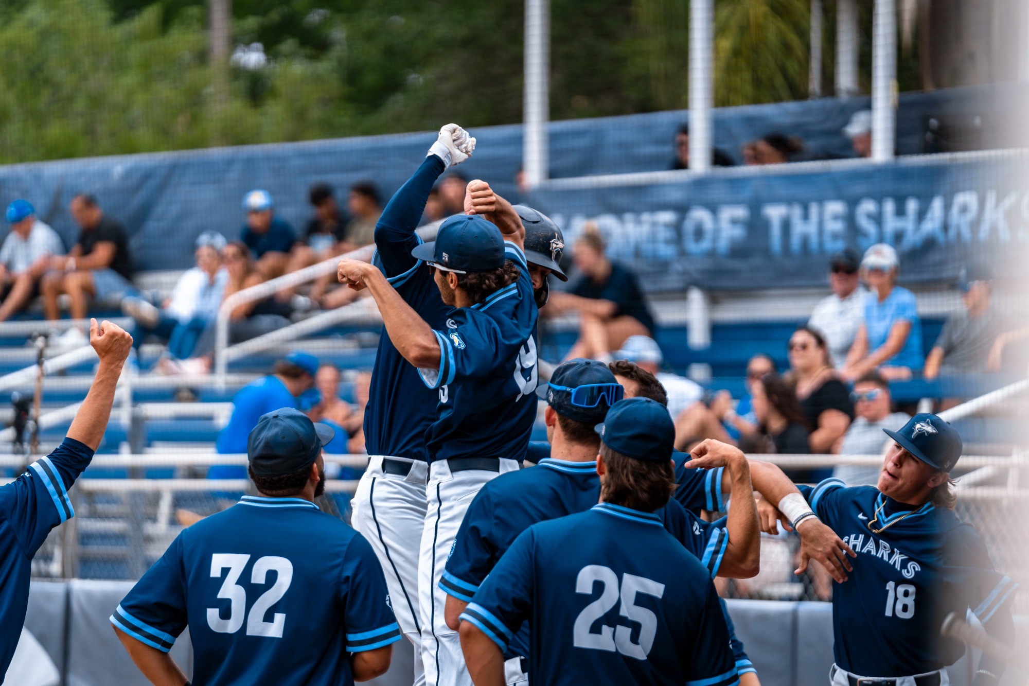 Adrian Morales Named NSU Head Baseball Coach Nova Southeastern