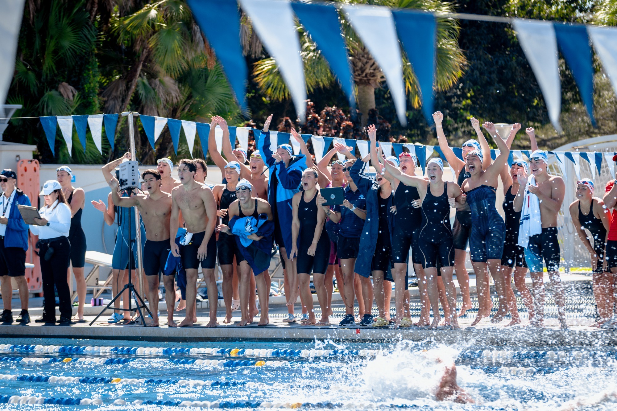 sharks swim relay celly