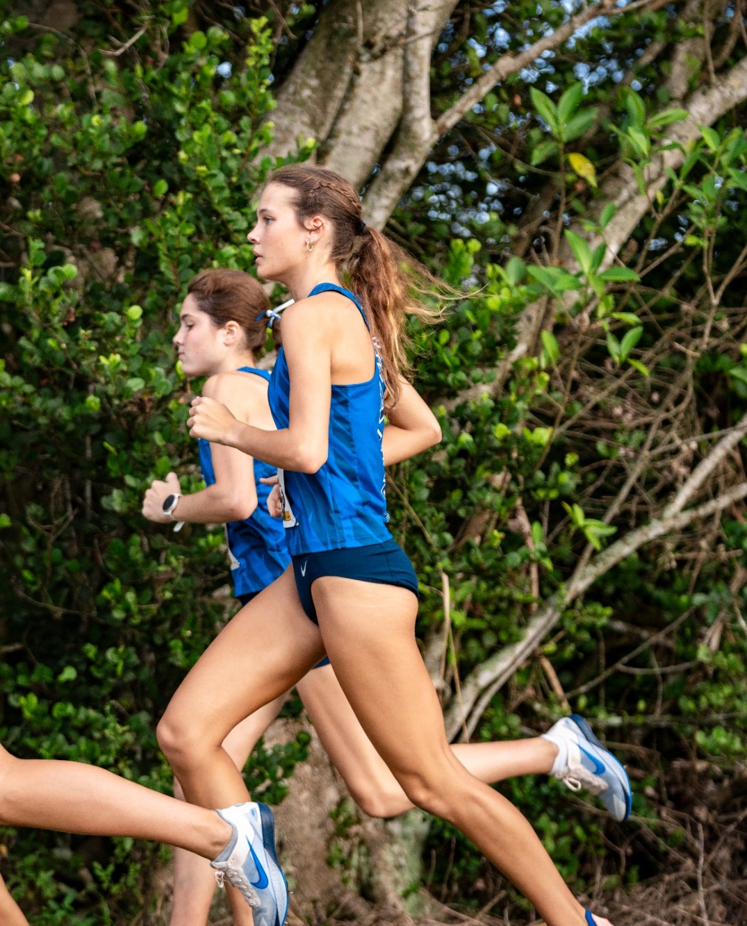XC