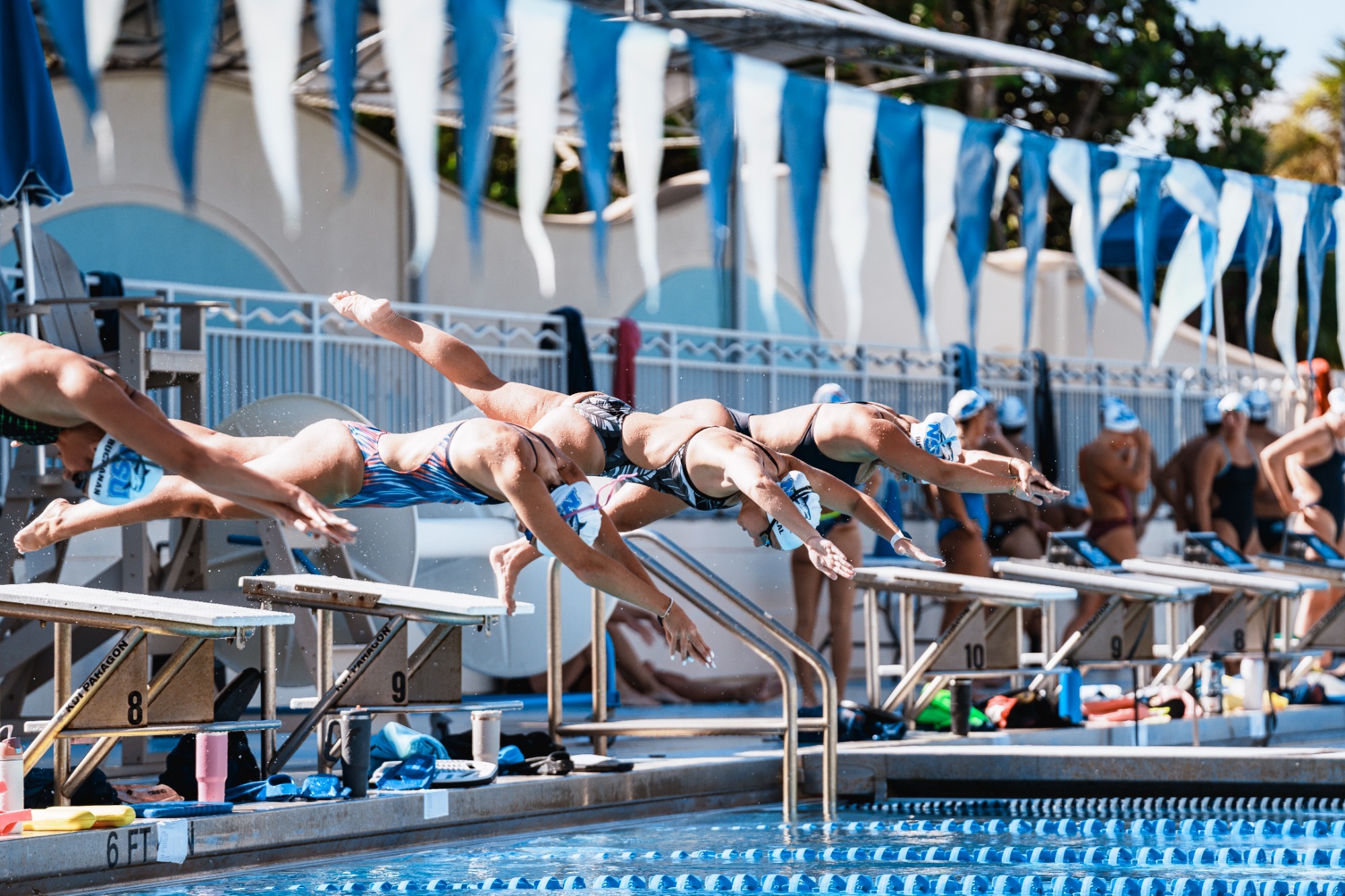 NSU Practice Swim Start