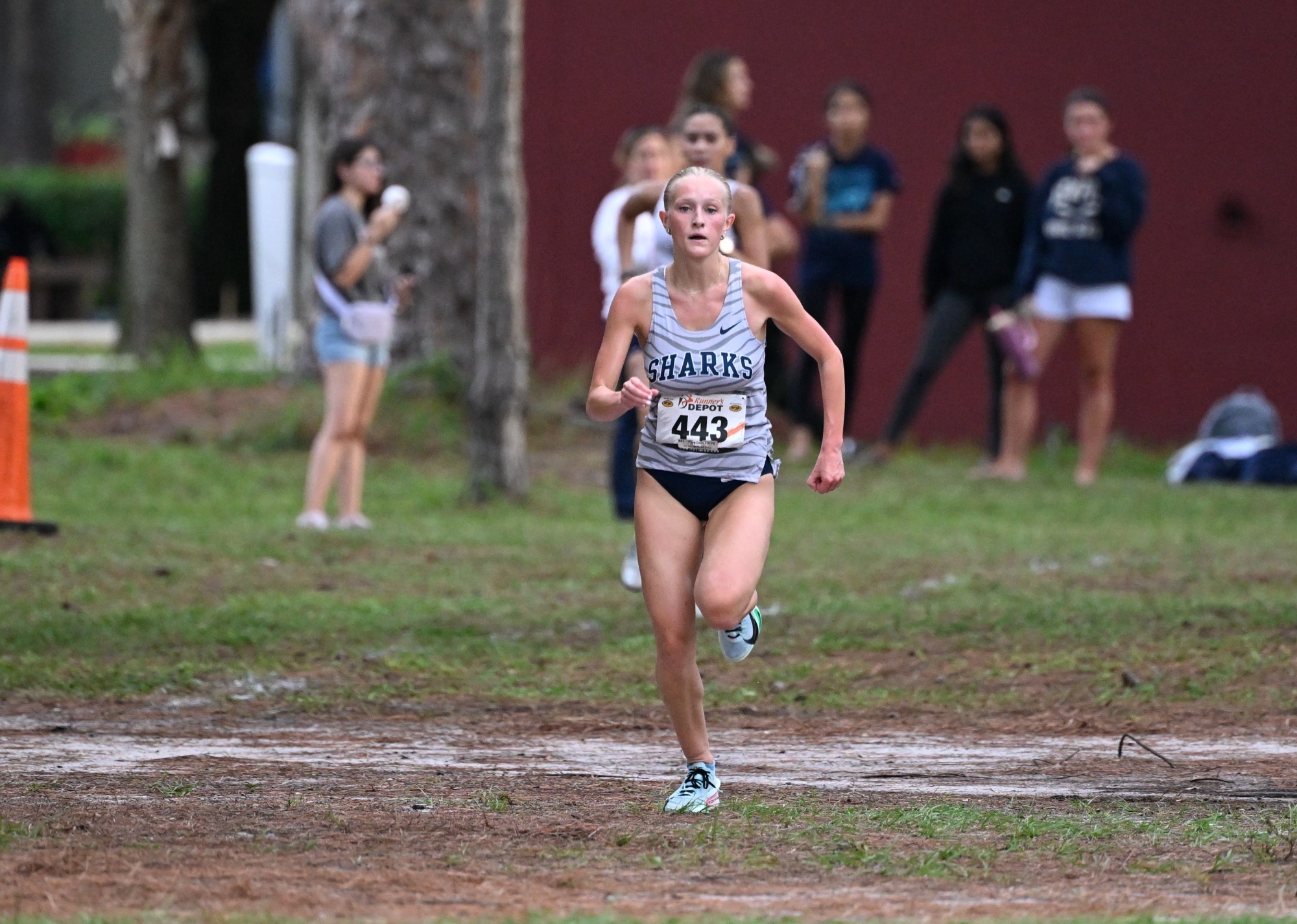 NSU XC