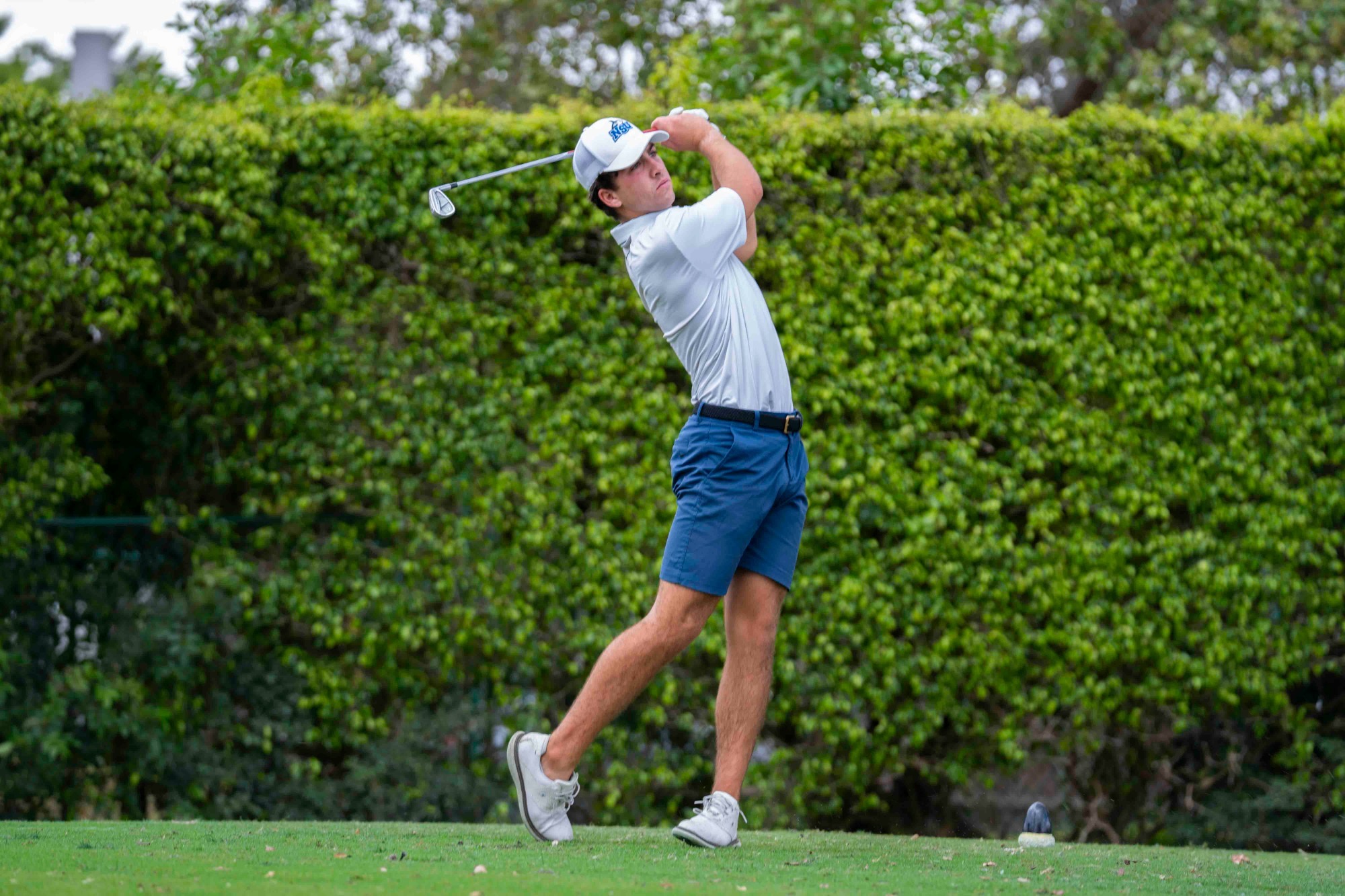 bruno marques shark invitational