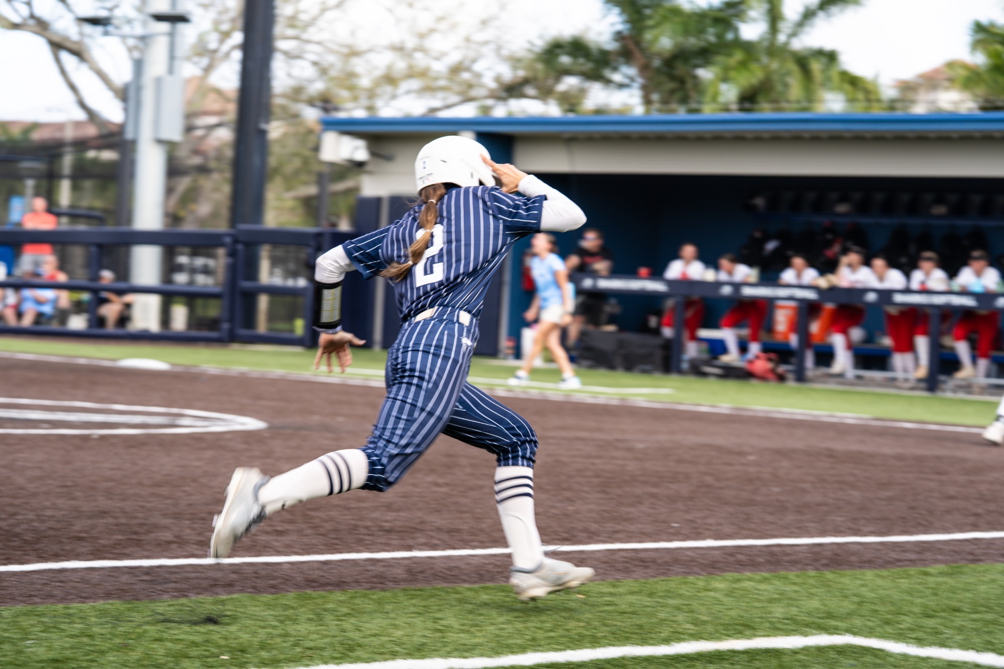 Schwaner Coming Home