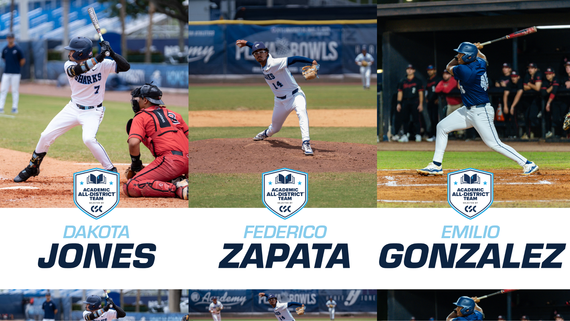 academic all-district baseball