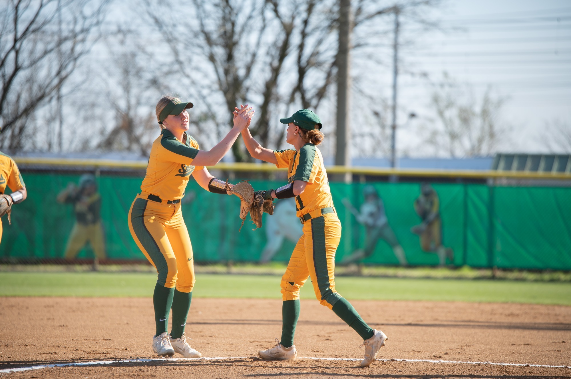 Jade Dixon Softball Norfolk State University Athletics