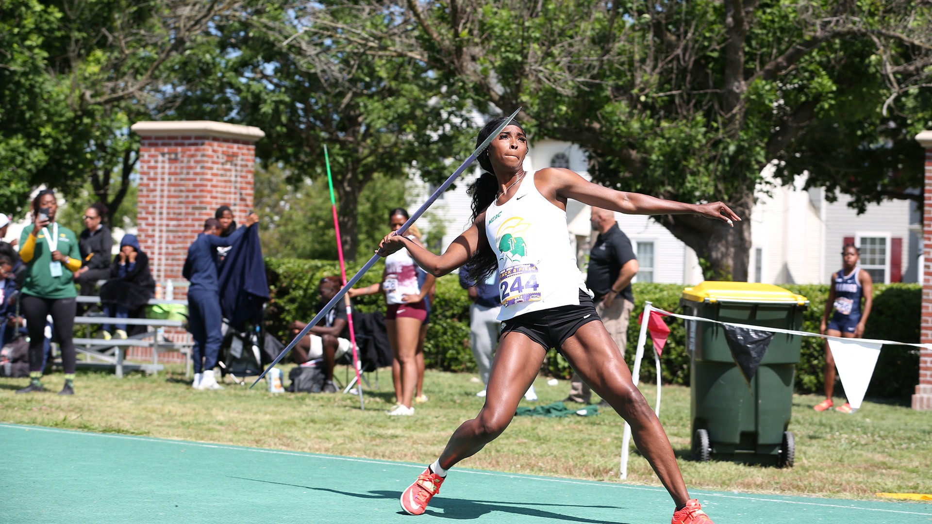 Essence Shaw