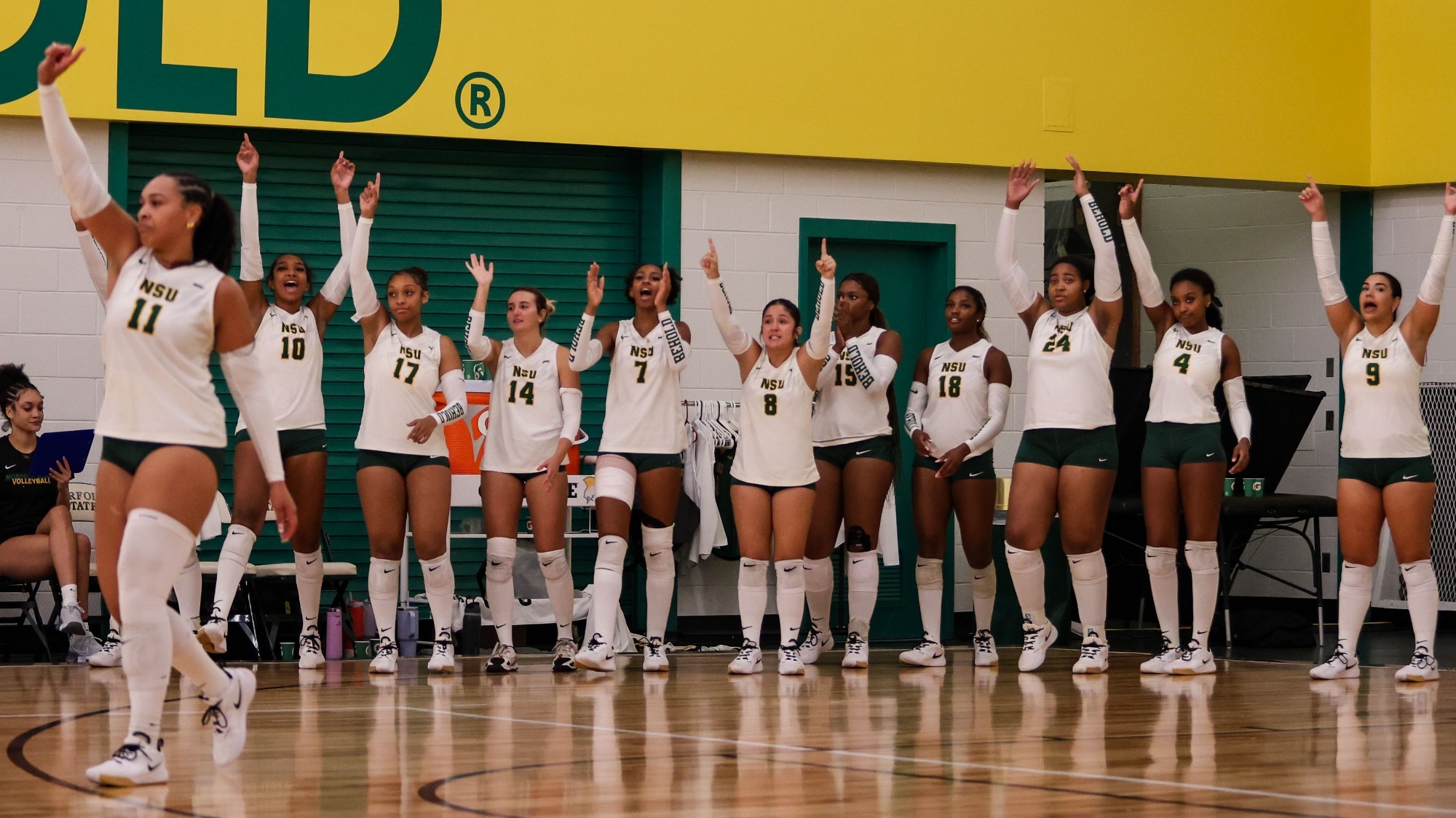 Norfolk State Volleyball Bench