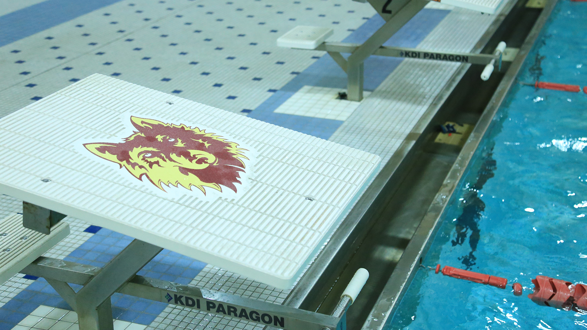 Swimming Block