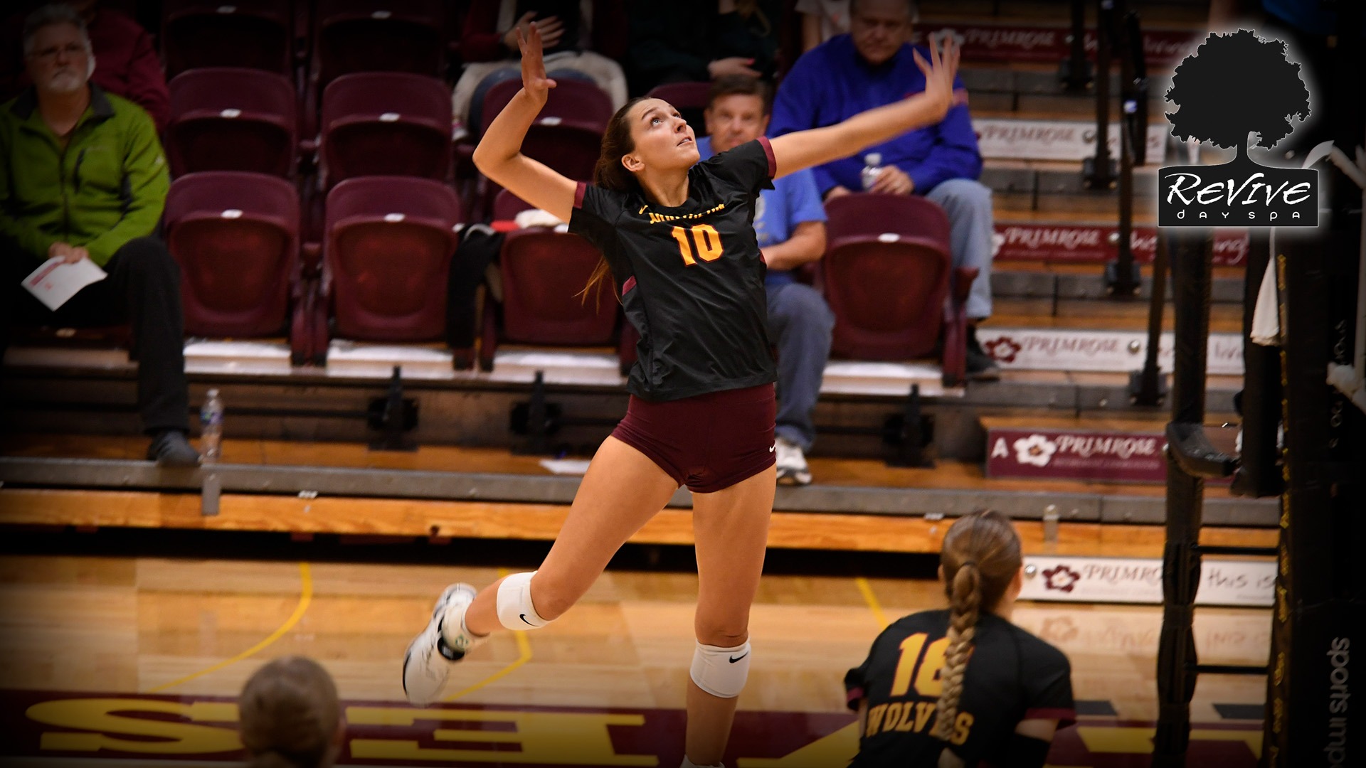 NSU Falls to No. 8 SCSU in NSIC Tournament Opening Round Sweep