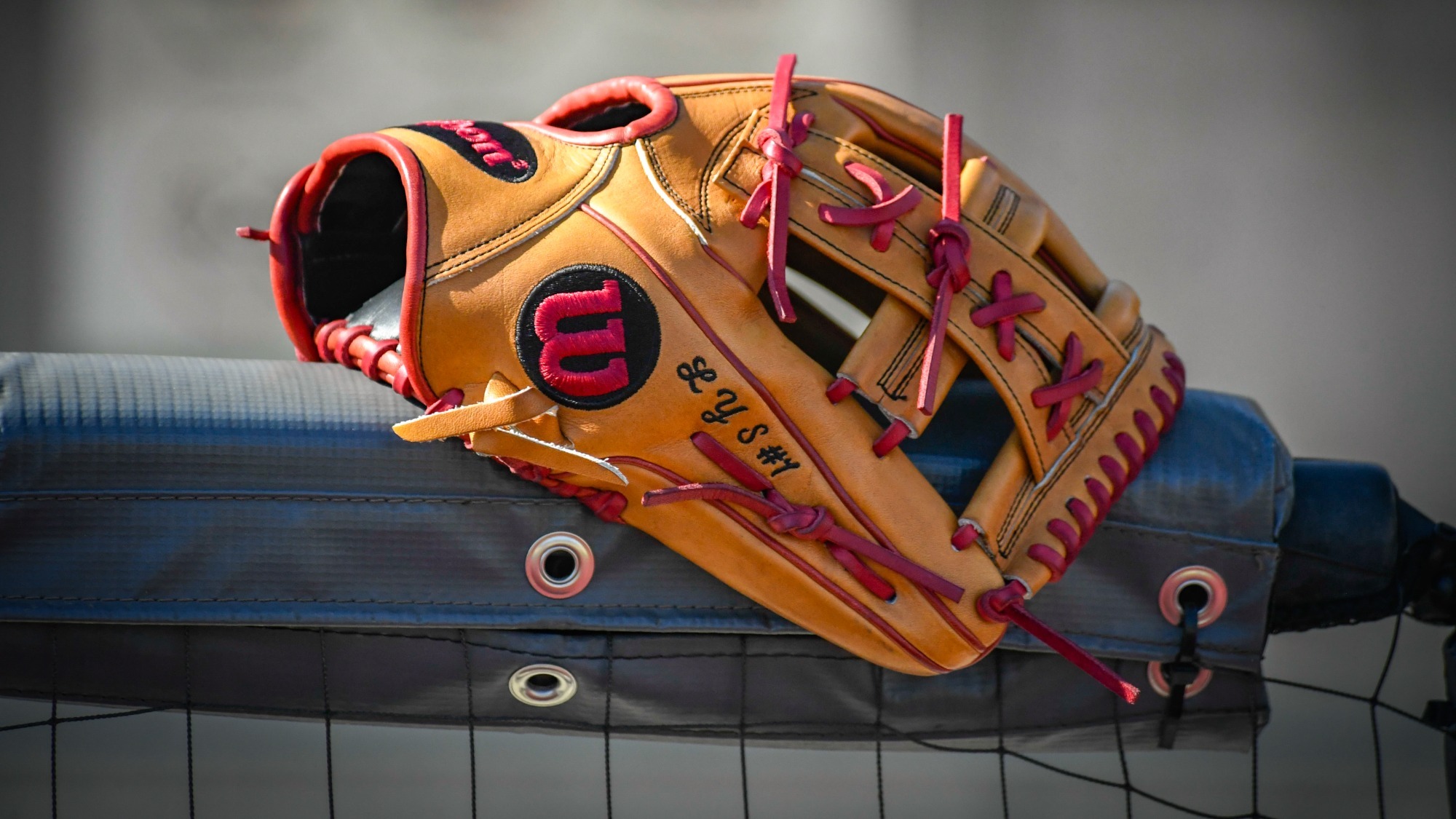 Softball Glove