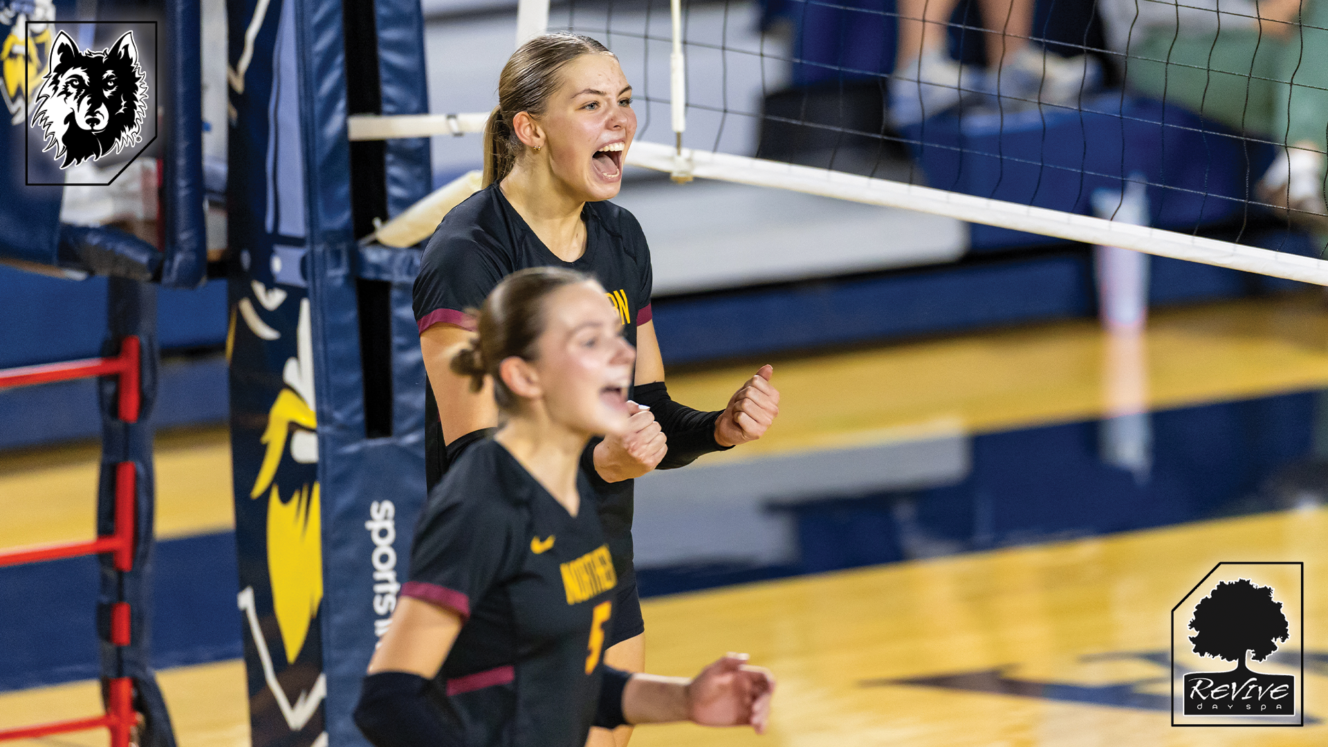 Volleyball at Augustana