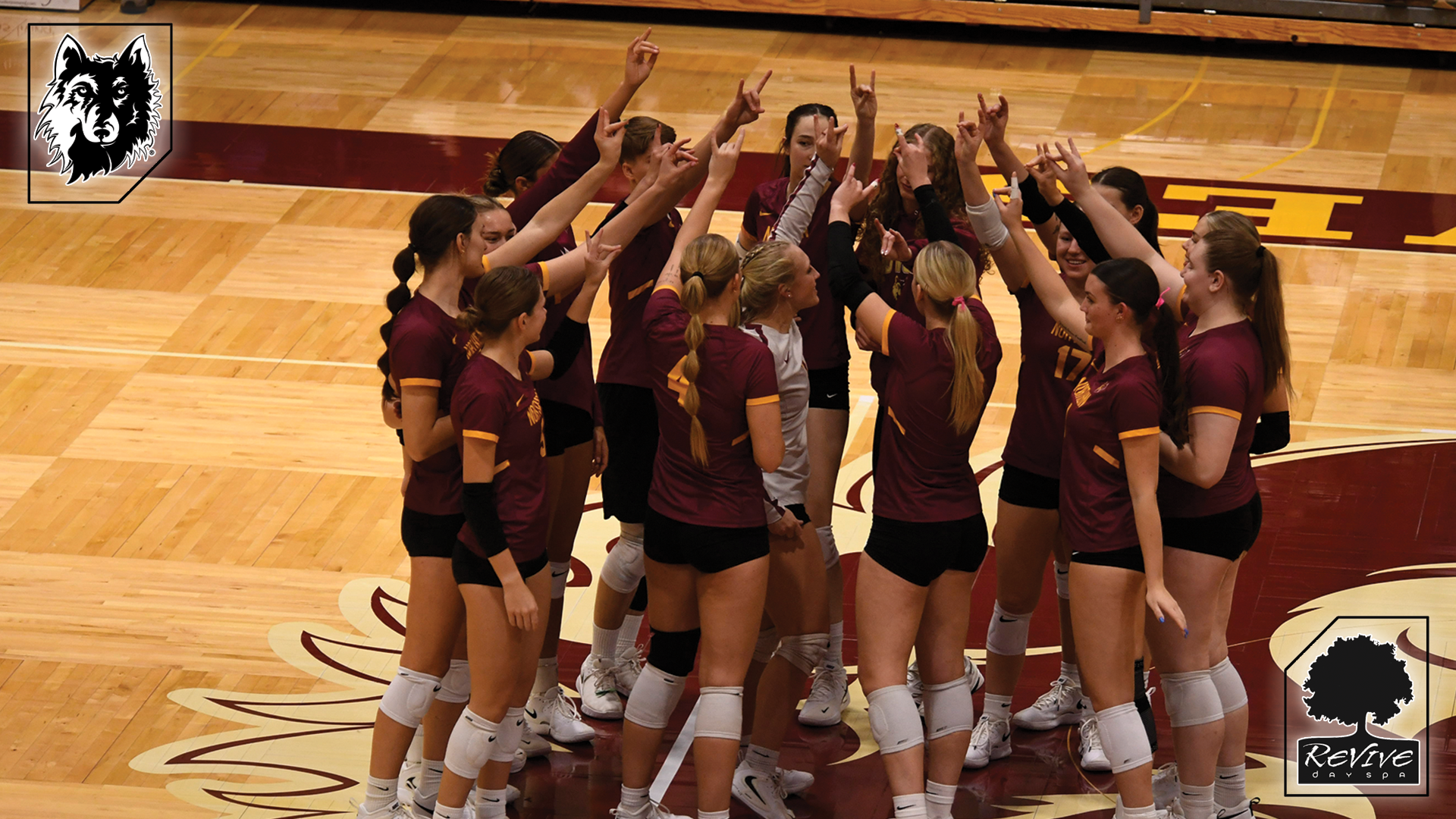 Volleyball at Wayne State