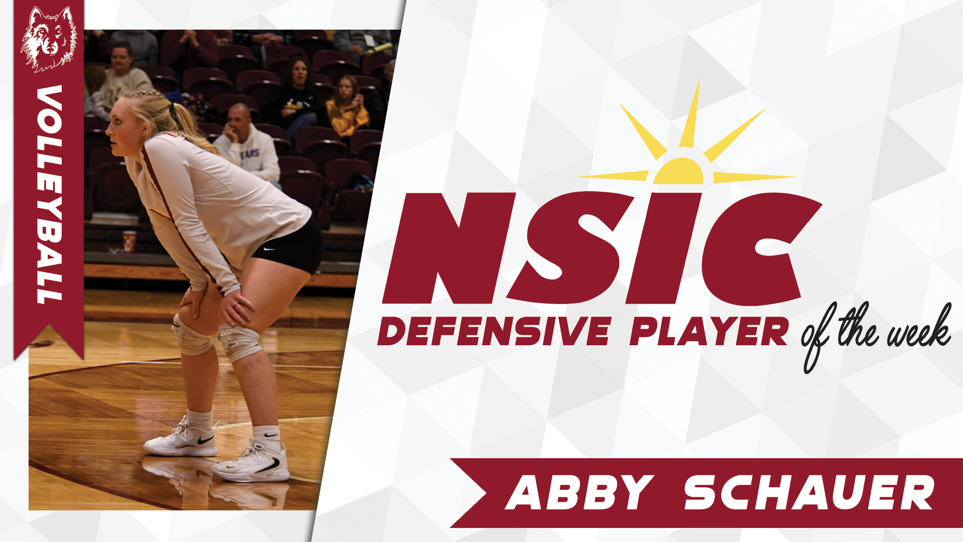 NSIC VB DPOTW