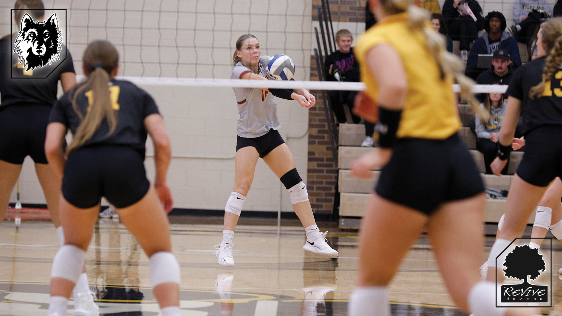 Volleyball at Wayne State
