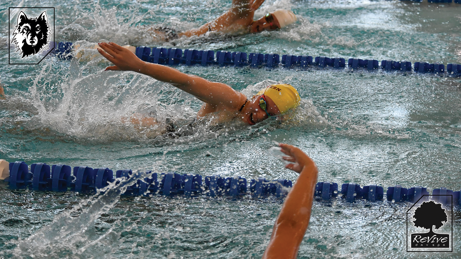 Wildbear day 1 recap