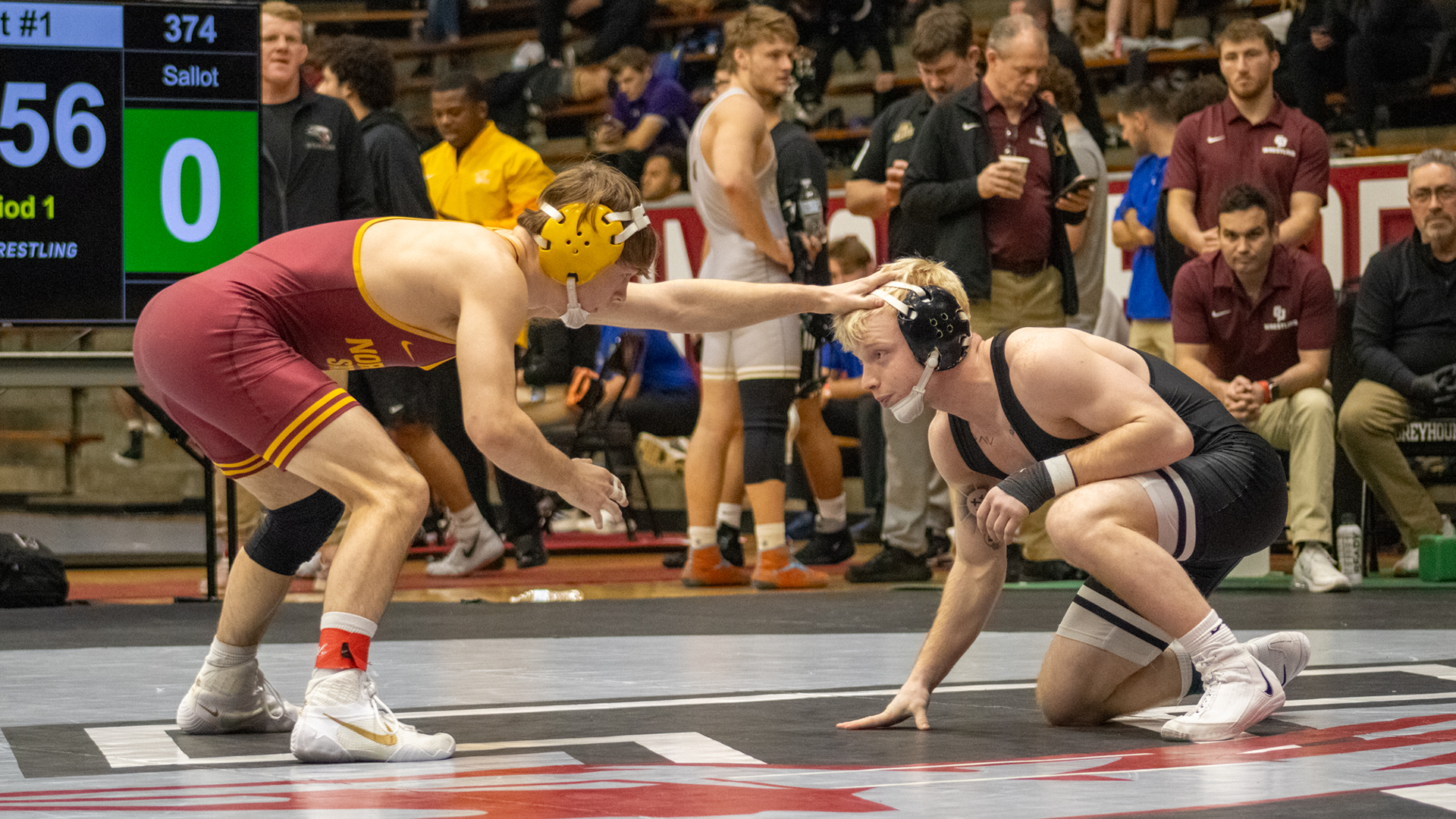 Wrestling Preview 12.19