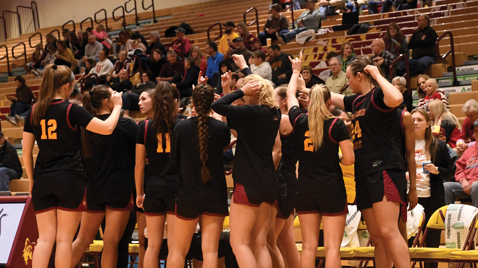 nsu vs wsu and csp preview