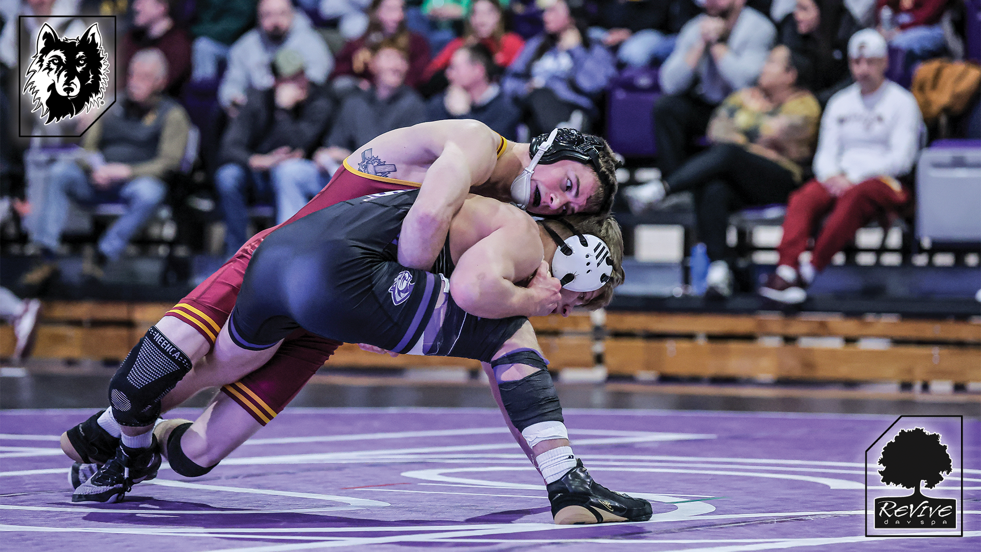 Wrestling Revive 1.15