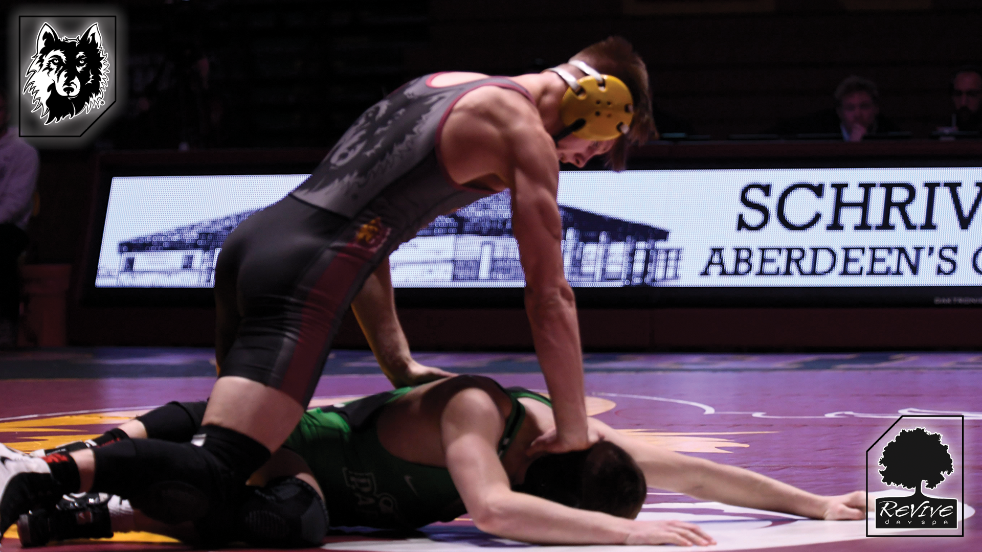 Wrestling Revive 1.24