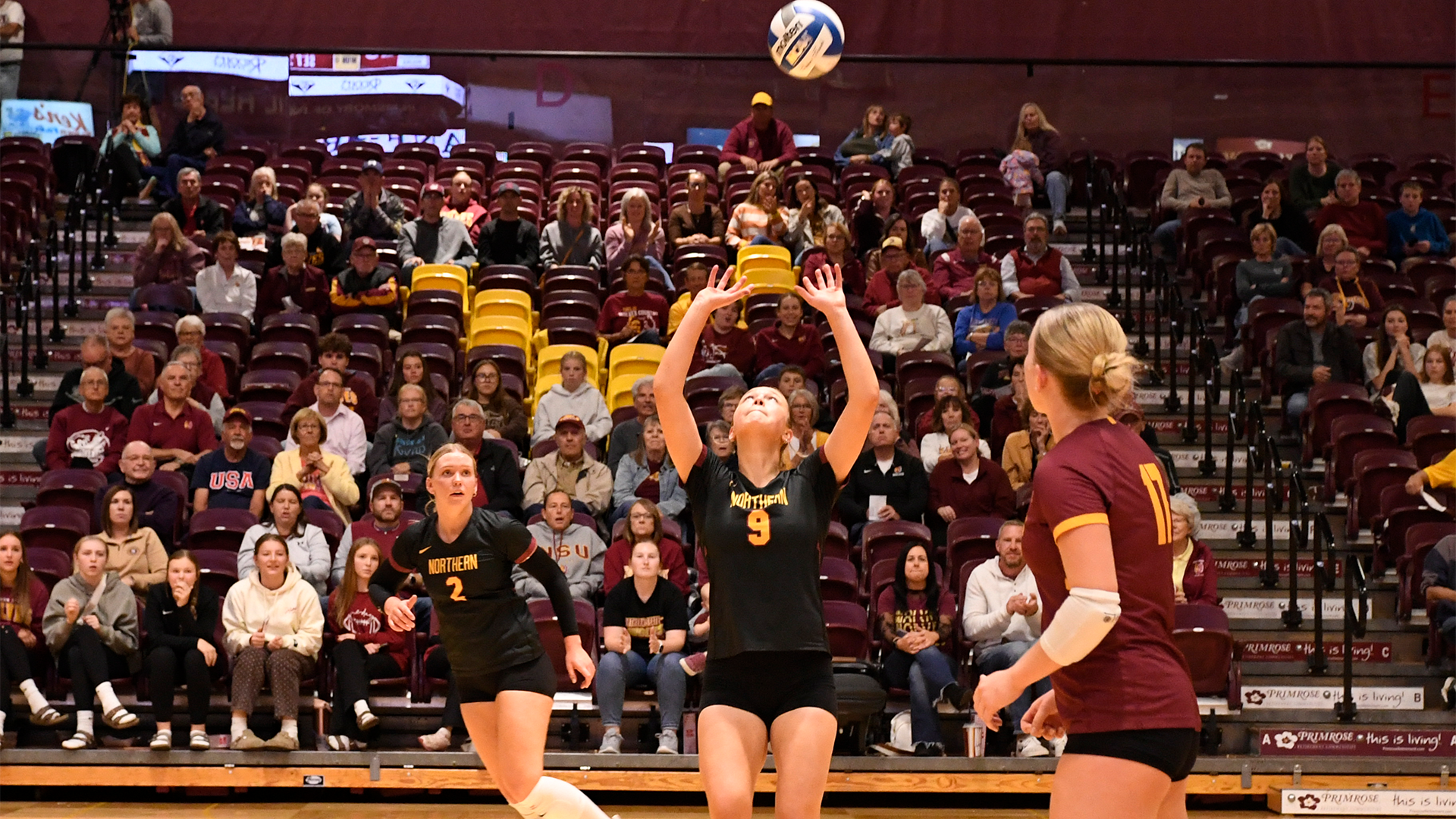 10.2 VB Recap -Setter Ava Nilsson focuses on the ball as she gets ready to set it to her teammate