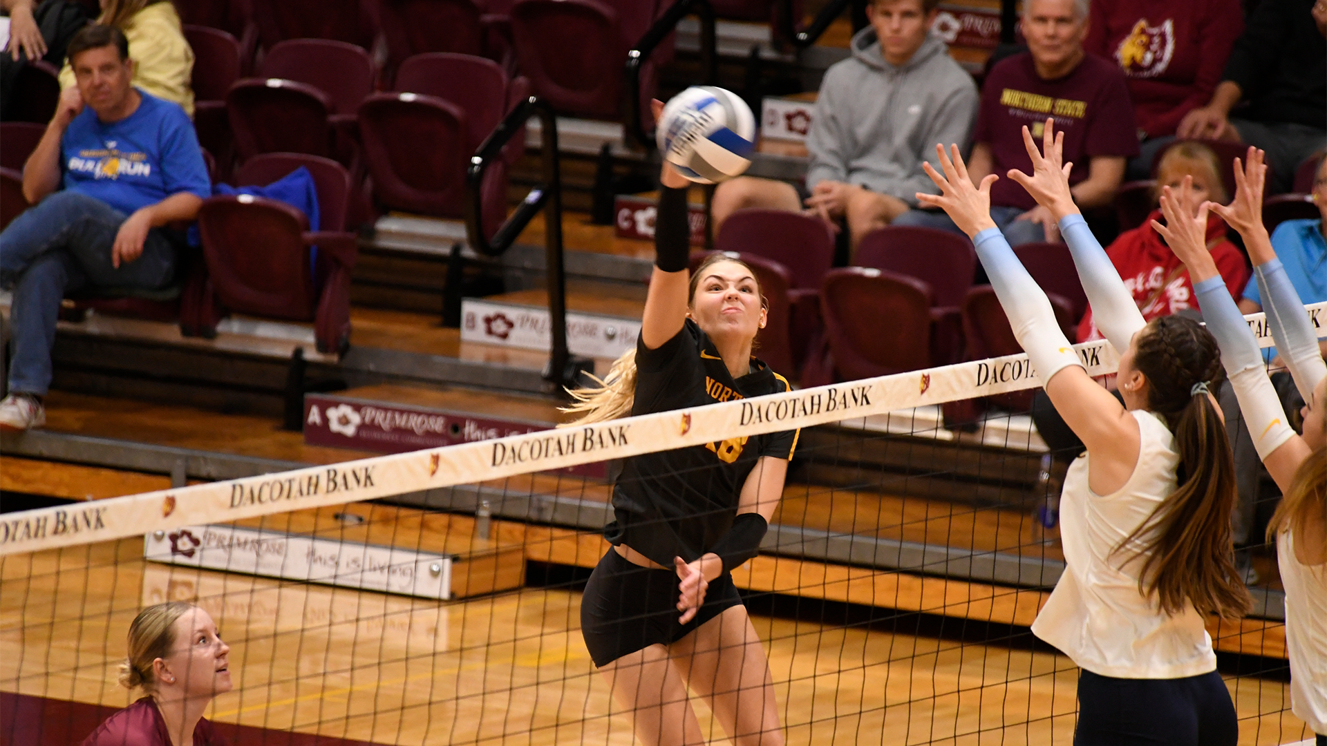 10.9 Volleyball Recap - Linnea Nesheim makes contact with the ball on an attack against Augustana