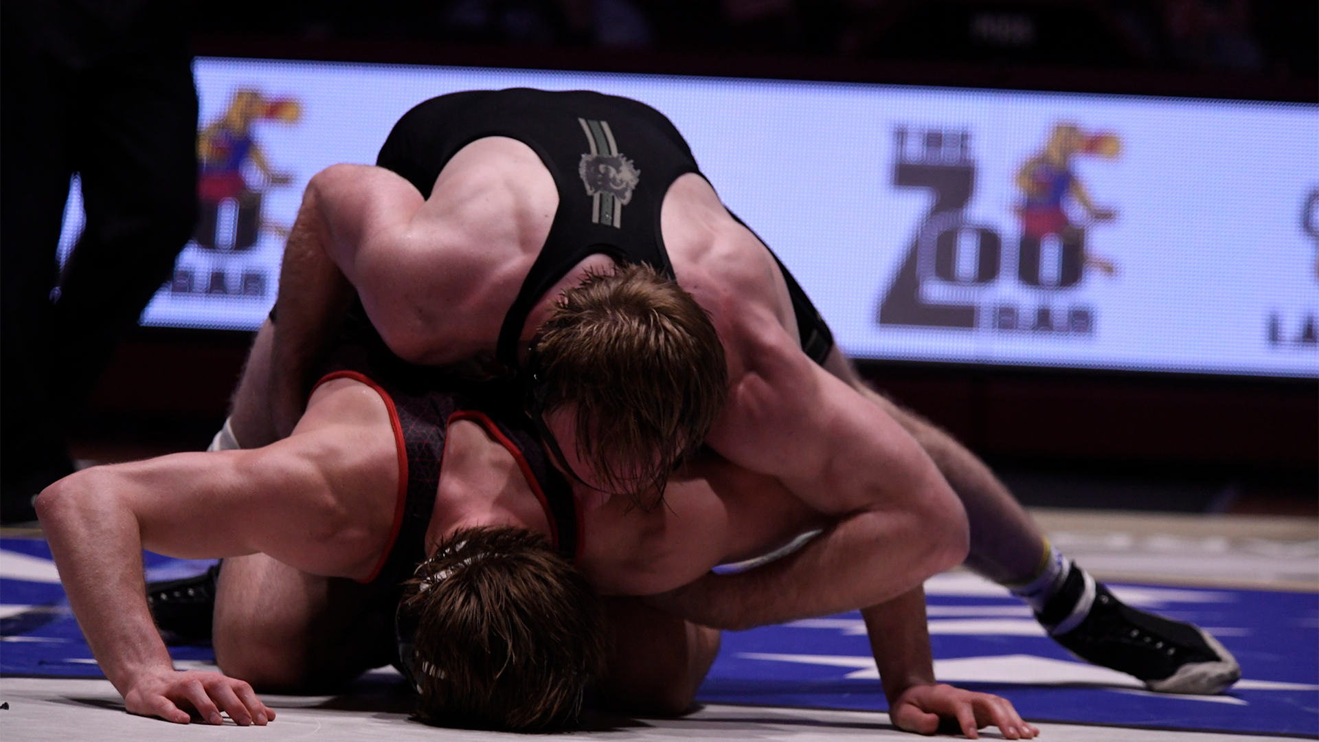 Wrestling 2.13 Preview