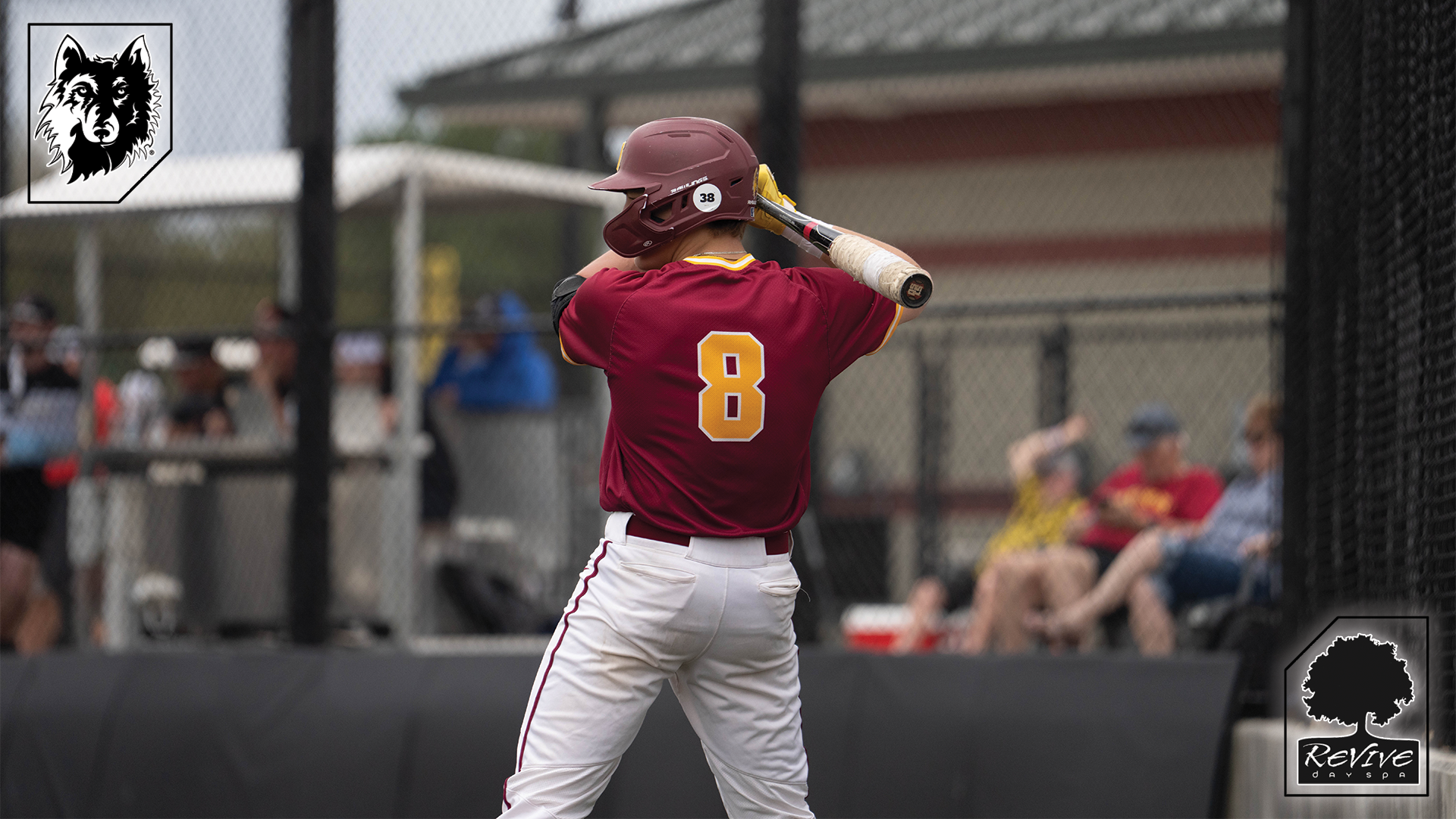 Baseball 3.13 Revive