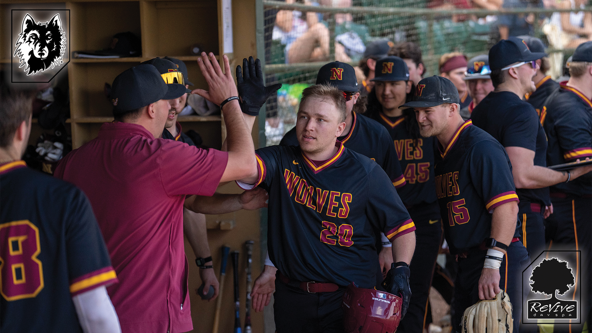 Baseball 3.14 Revive