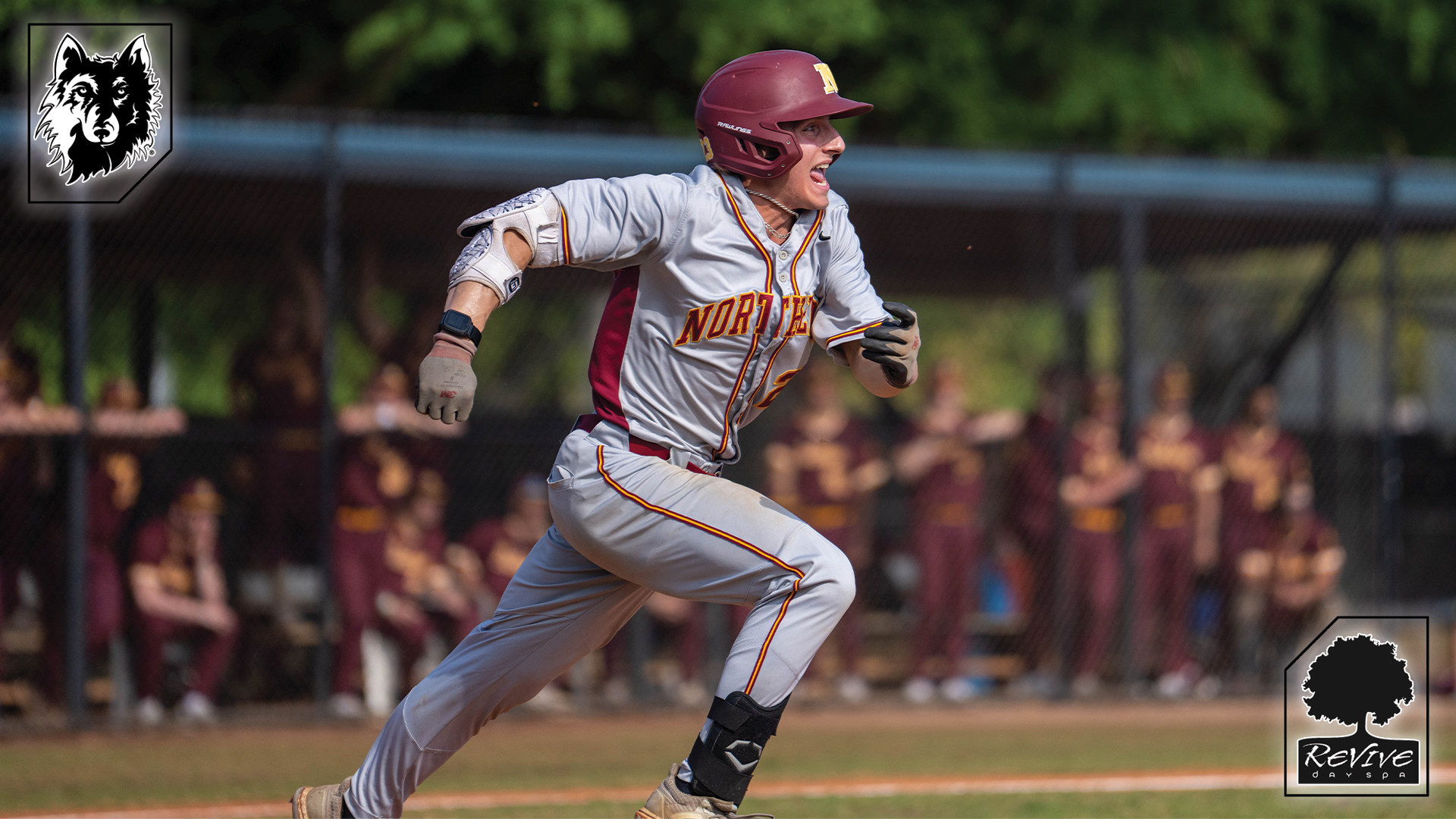 Baseball 3.15 Revive