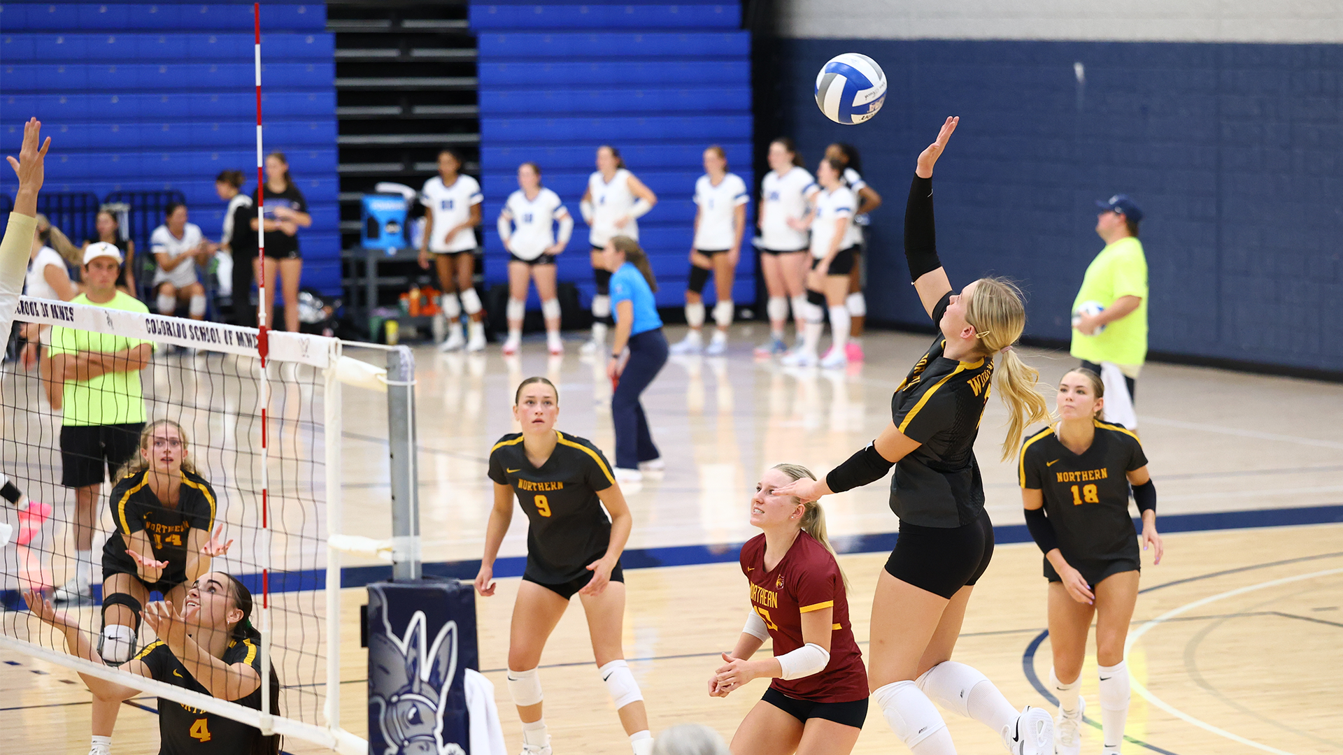 Sophomore hitter, #2, Katelyn Schroeder goes up for a kill as the rest of the Northern State volleyball team watches in their match against Colorado Springs