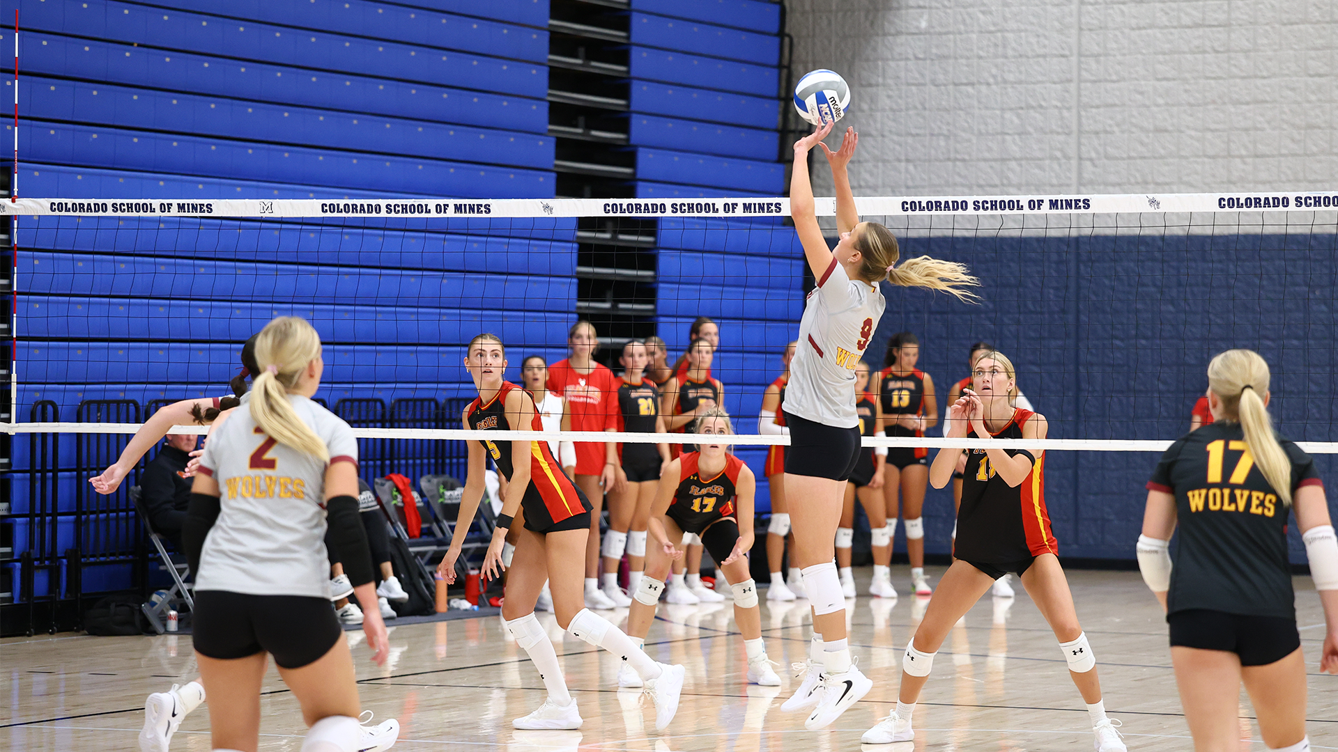 8.29 Volleyball Recap, Junior Setter Ava Nilsson sets the ball up for one of her teammates at the Oredigger Classic