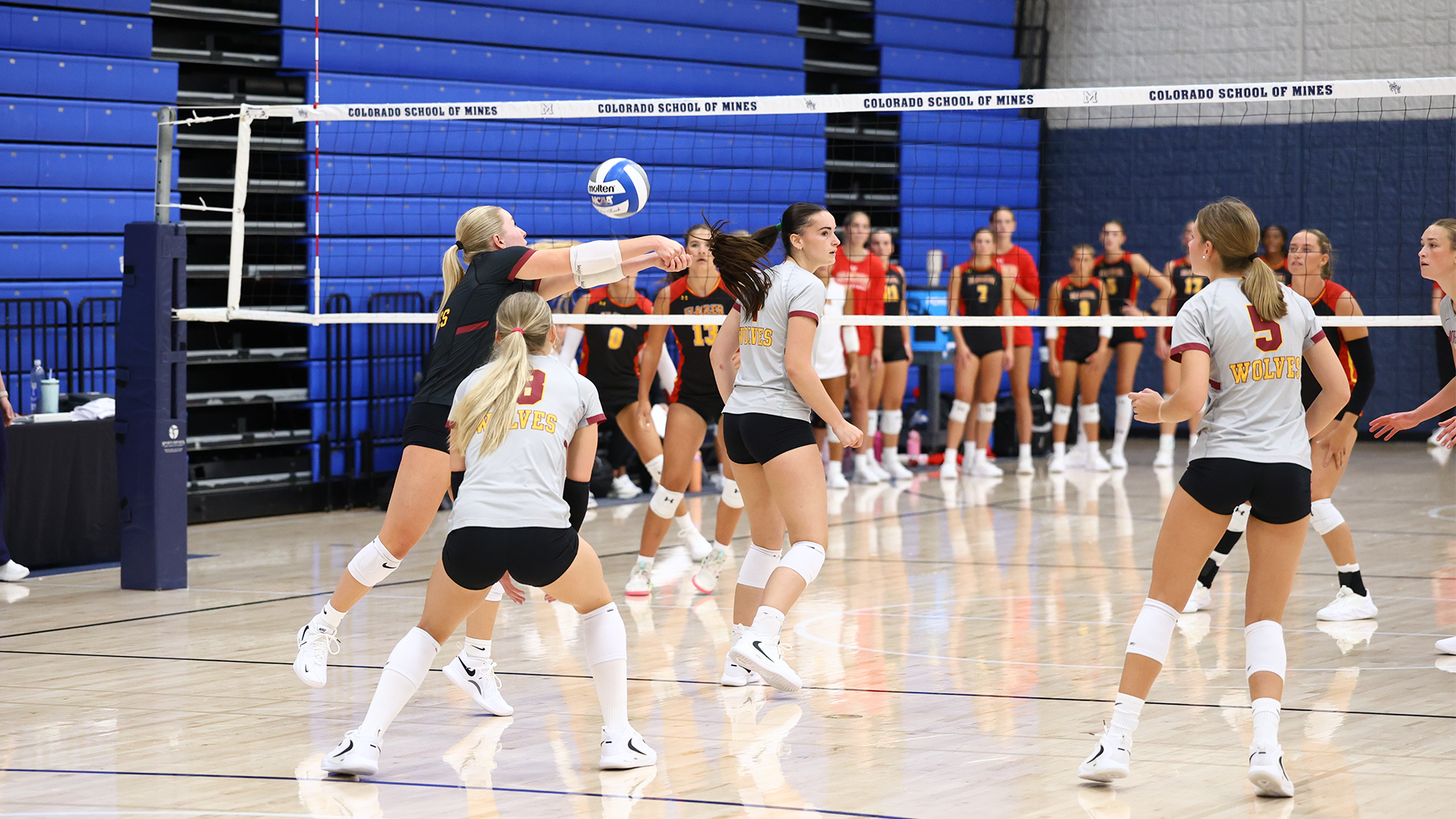 No. 17 Ashley Yost of NSU Volleyball sets the ball at the Oredigger Classic as teammates look on