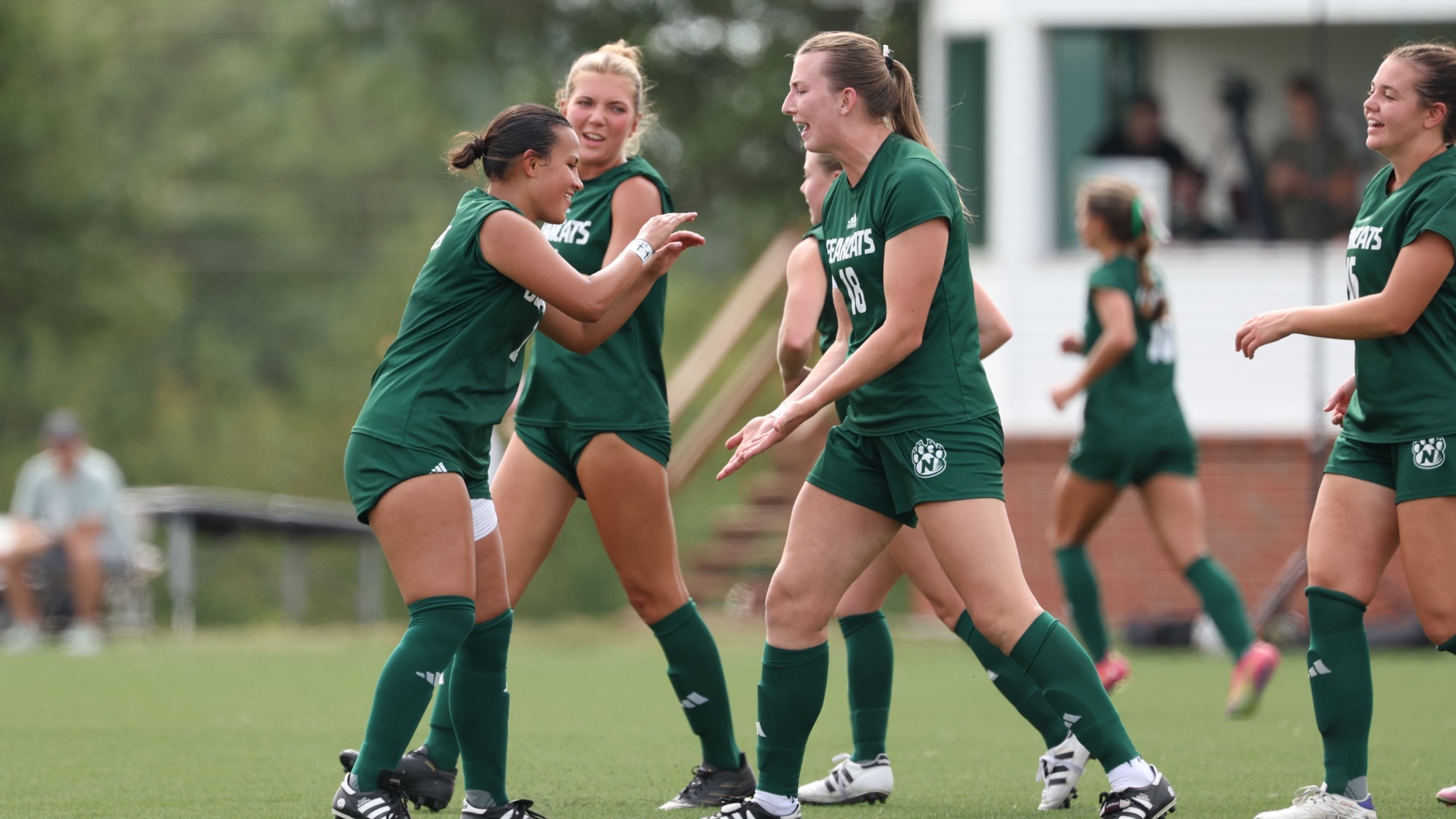 Goal Celebration