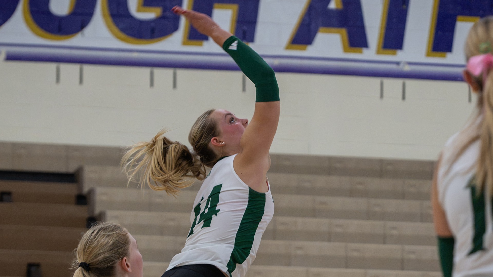 Abby Bulthuis