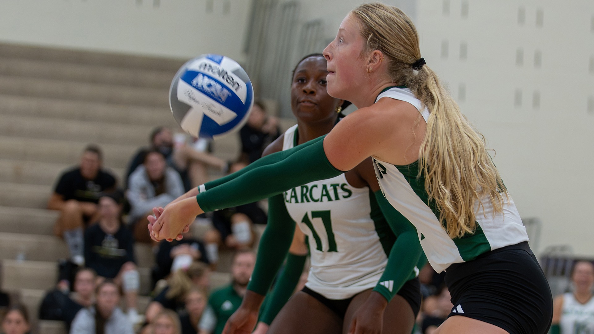 Bearcat Volleyball Dig at McKendree Invitational
