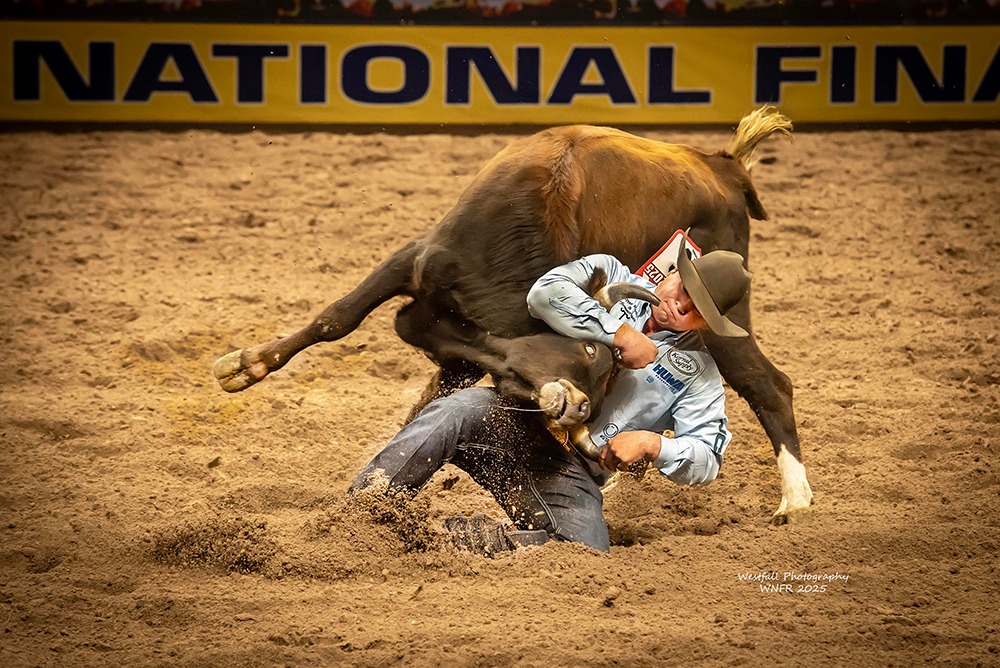 Bridger Anderson - Rodeo