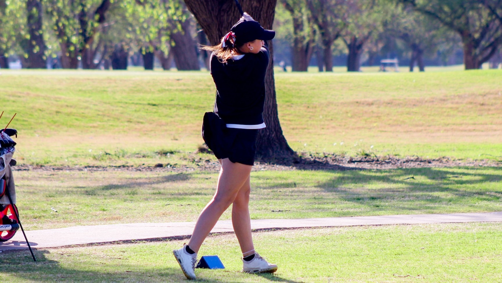 WGOLF