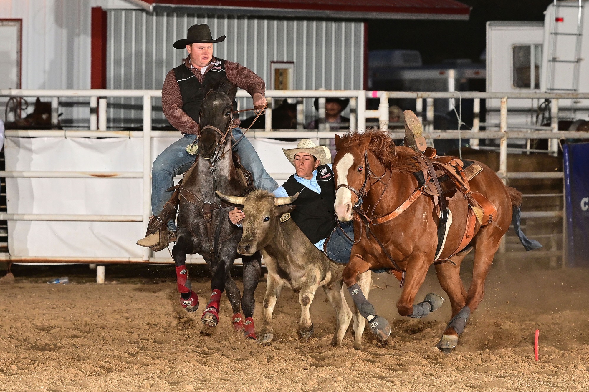 Rodeo athlete riding a horse