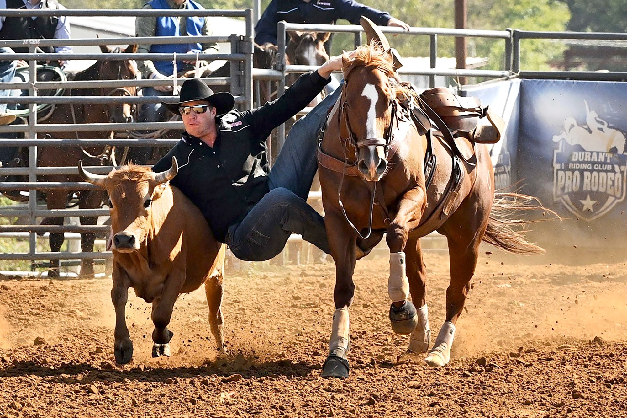 Rodeo member jumping on a steer
