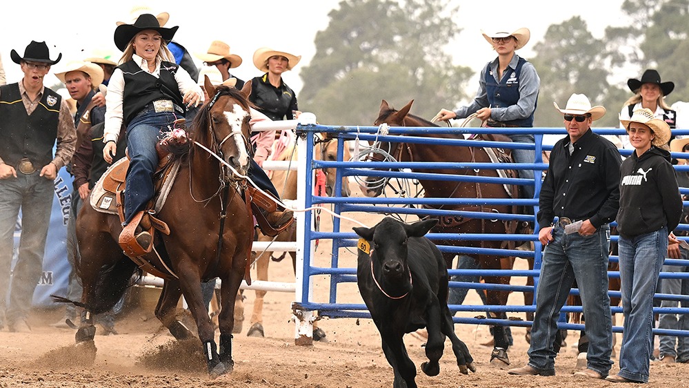Northwestern Rodeo memebr competing
