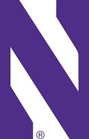 N Logo 2