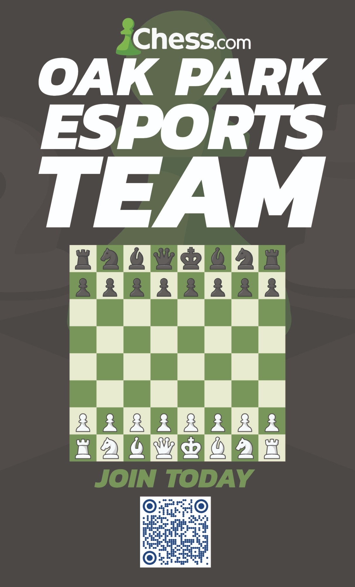 ESPORTS CHESS TEAM