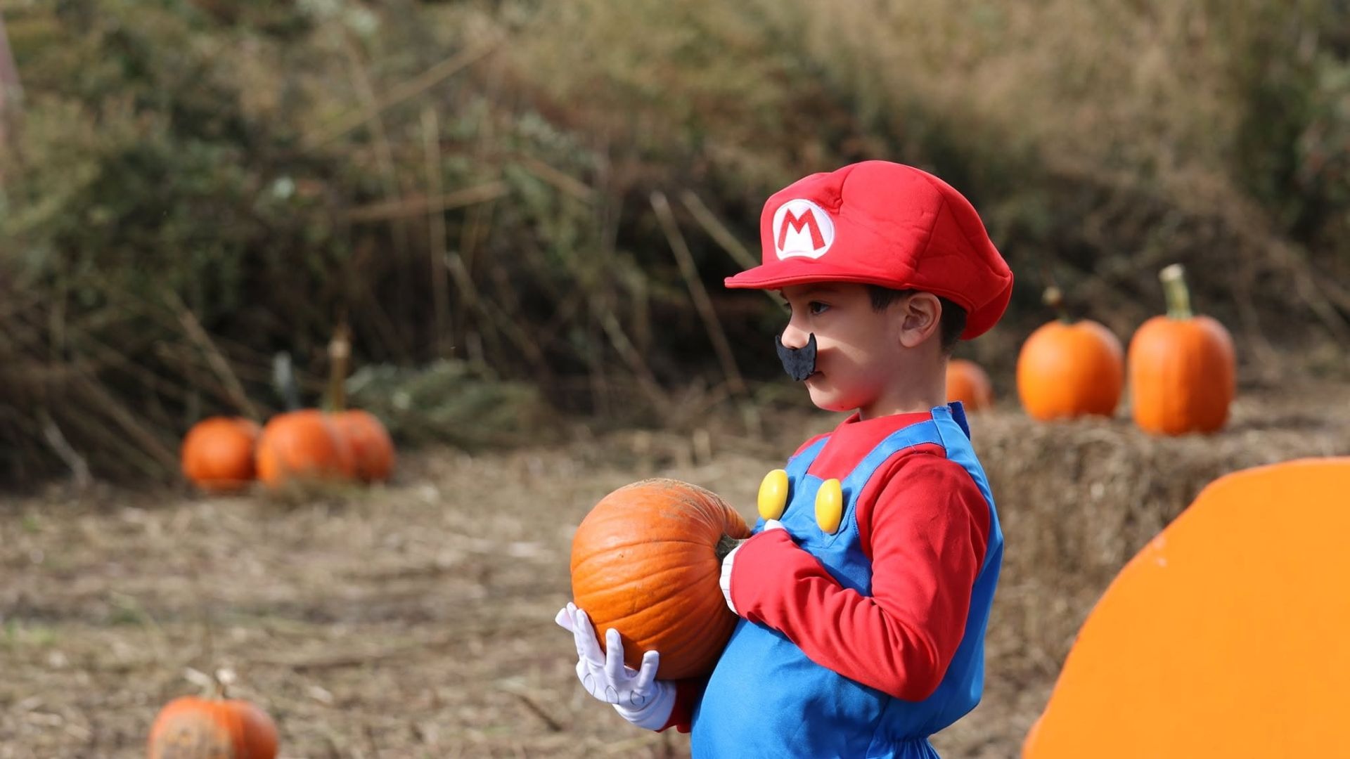 halloween 2026